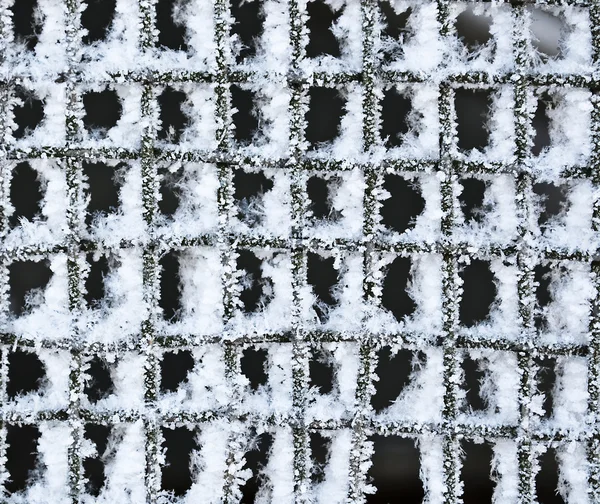 纹理的金属网，冻结在冰和雪. — 图库照片
