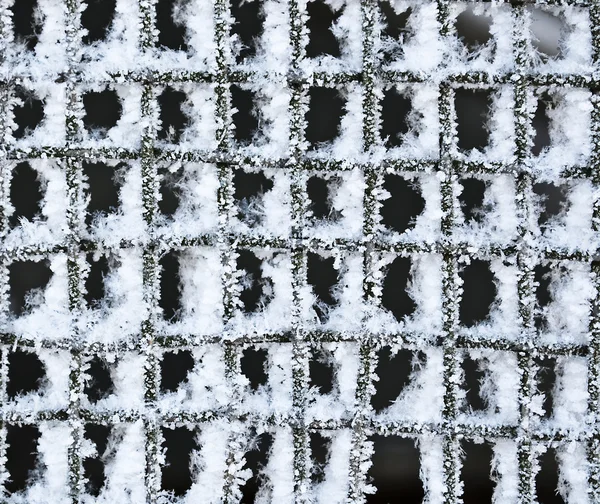 Textura de malla metálica, congelada en hielo y nieve . —  Fotos de Stock