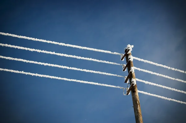 stock image Electrical wires in the snow.