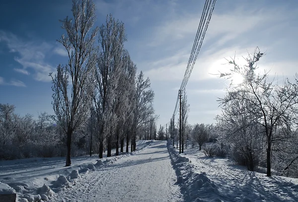 Заснеженная дорога в зимнем парке — стоковое фото