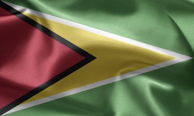 Guyana Bayrağı