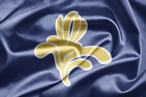 브뤼셀의 국기 — 스톡 사진