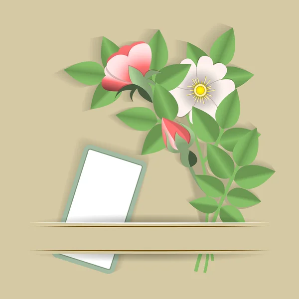 Çiçekler ve kartı 10 — Stok Vektör