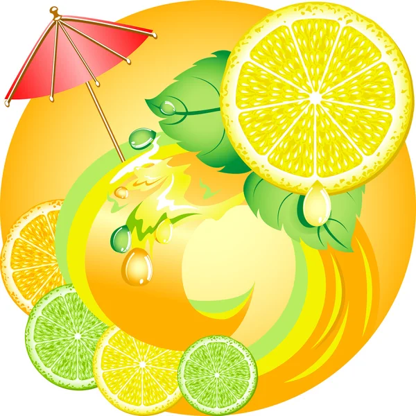 Citrus ökológia fogalma — Stock Vector