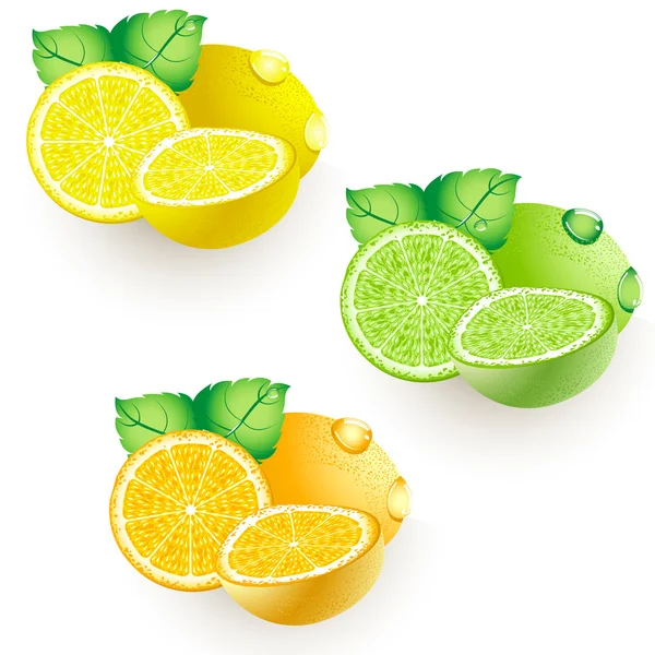 柠檬石灰橙 — 图库矢量图片