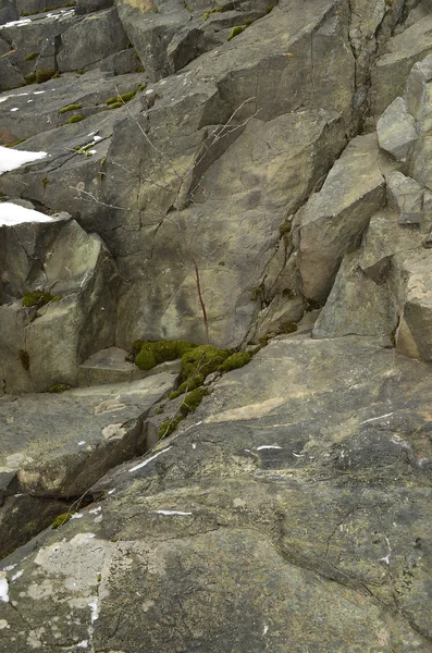 바위-바위 — 스톡 사진