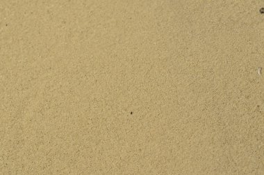 Sand - a sedimentary rock clipart