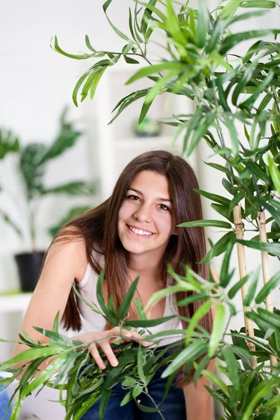 Menina adolescente escondida atrás da planta na sala de estar — Fotografia de Stock