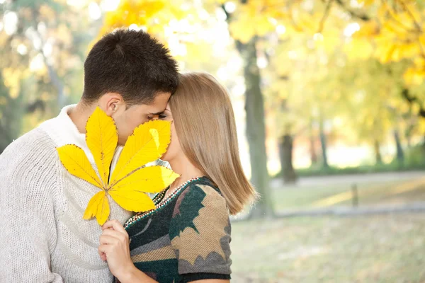 Пара поцелуев за большим листом — стоковое фото