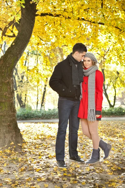 Láska pár těší na podzim v parku — Stock fotografie