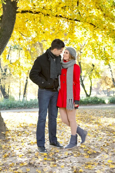 Romantische liefde in de herfst — Stockfoto