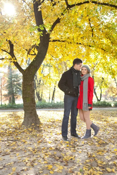 Sonbaharda bir ağacın altında genç Çift — Stok fotoğraf