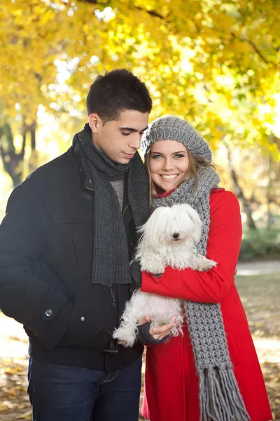 犬と若いカップル — ストック写真