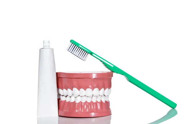 Dentes artificiais e uma escova de dentes — Fotografia de Stock