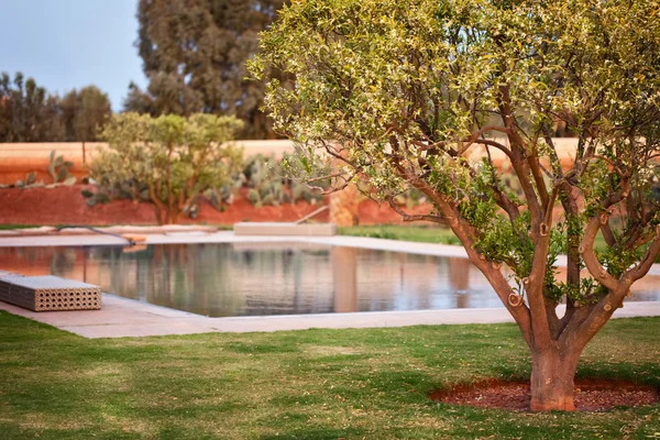 Oasis en el desierto con piscina — Foto de Stock