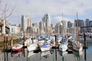 Marina and Condomiuniums at Granville Island clipart