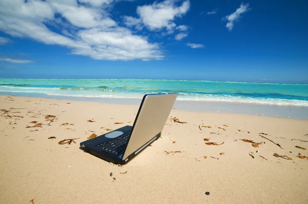 海滩上的笔记本电脑 — 图库照片
