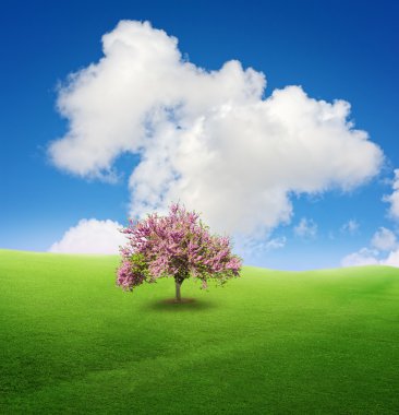 Tree on green field clipart