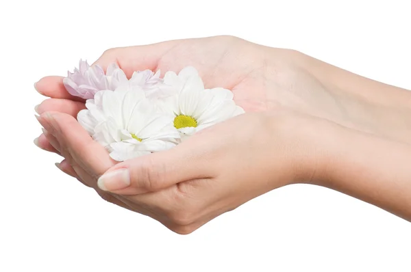 Kobiece ręce z kwiatem — Zdjęcie stockowe