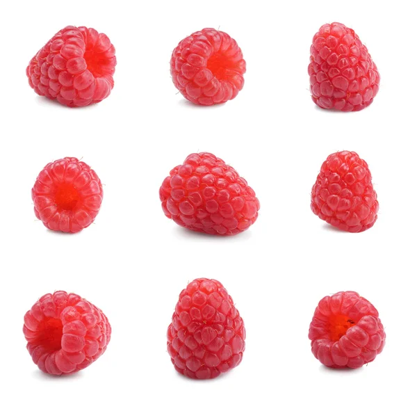 Frambuesas rojas maduras frescas —  Fotos de Stock