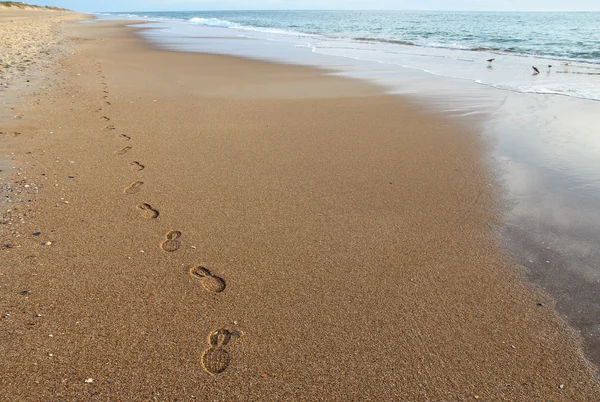 Kuzey Carolina'da bir plajda ayak sesleri — Stok fotoğraf