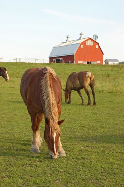 Horses and a barn vertical clipart