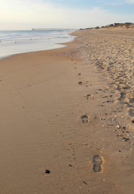 Footsteps on a beach in North Carolina vertical clipart