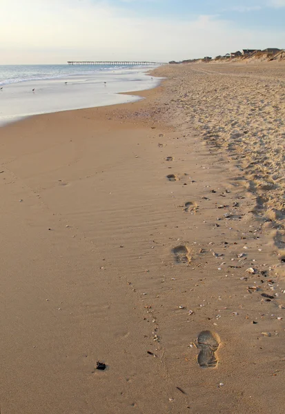 Ślady na plaży w Północnej Karolinie pionowe — Zdjęcie stockowe