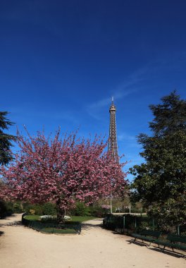 Spring in Paris clipart