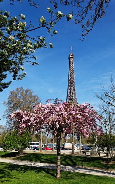 Primavera em Paris — Fotografia de Stock