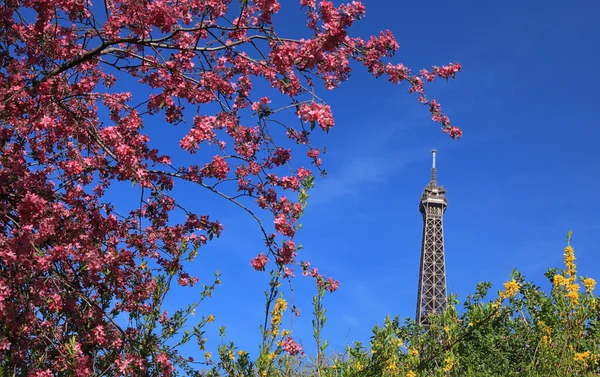 Paris bahar — Stok fotoğraf