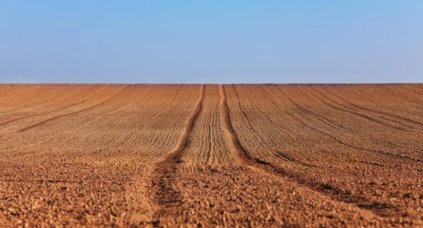 Agricultural abstract — Stock Photo, Image