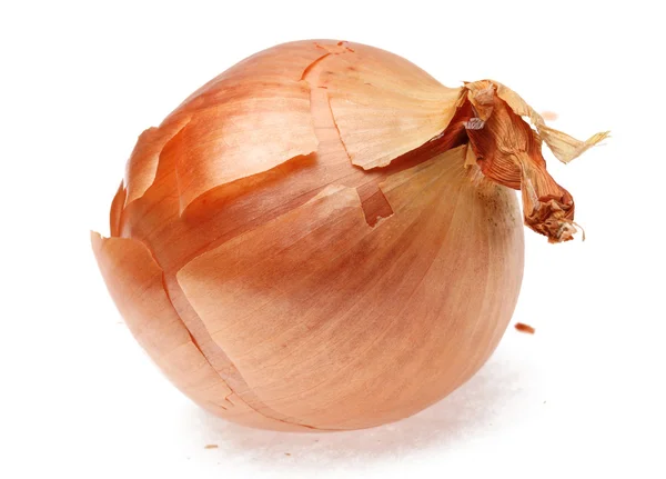 The Onion — Stock Photo, Image