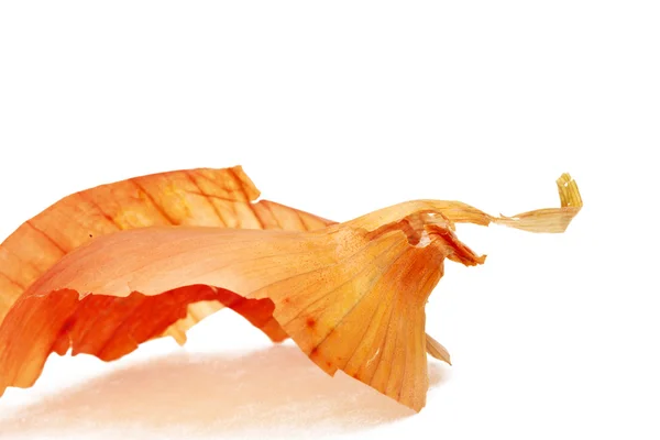 양파 껍질 — 스톡 사진