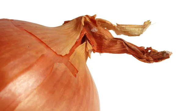 Onion detail — Stock Photo, Image