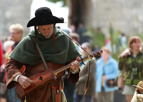 Medieval troubadour — Stock Photo, Image