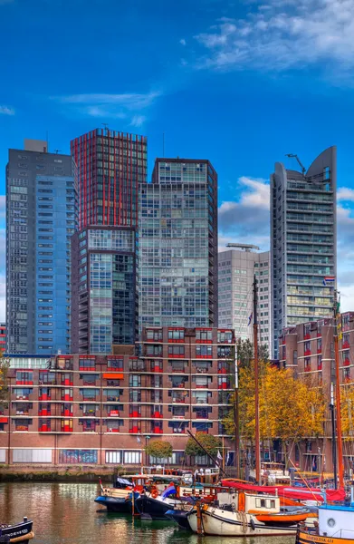 Rotterdam panoramata — Stock fotografie