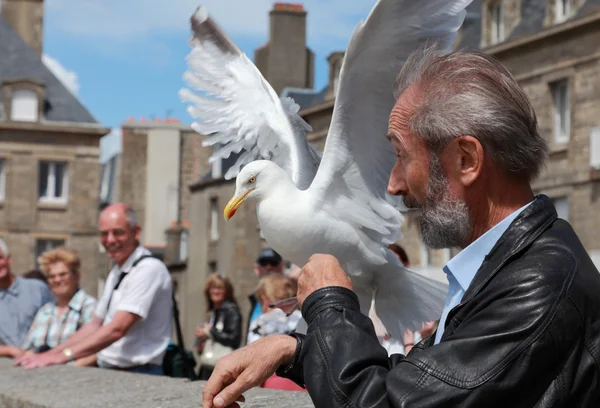 The man and the gull — Stock Photo, Image