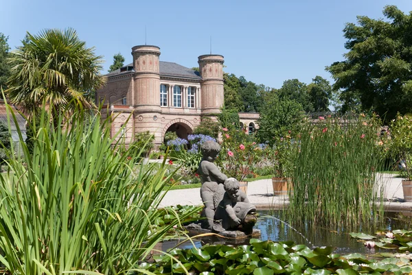 Bontanical сад Карлсруе — стокове фото
