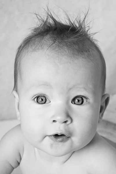 Menina do bebê com cabelo preso - preto e branco — Fotografia de Stock