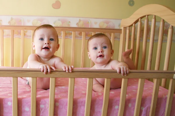 Twin baby meisjes — Stockfoto