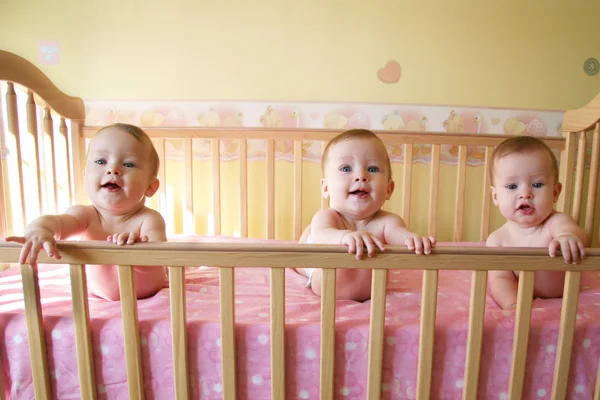 Drie baby meisjes — Stockfoto