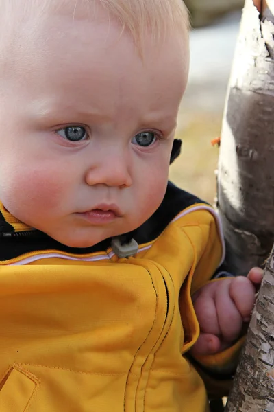 Söt liten pojke poserar för kameran — Stockfoto