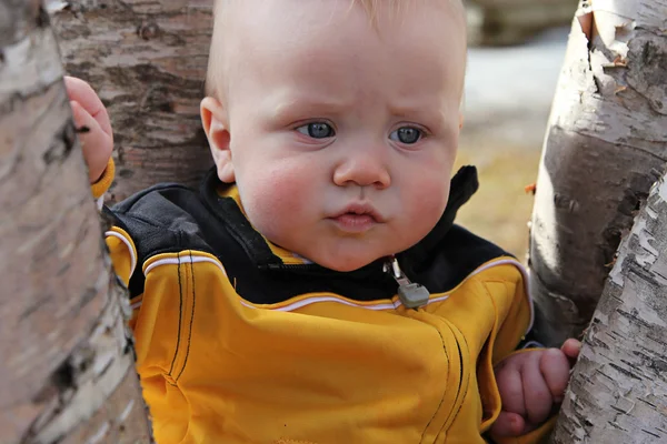 Mignon petit garçon posant pour caméra — Photo