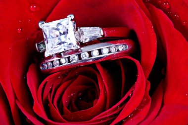 Wedding Ring in Rose, Will you marry me? clipart