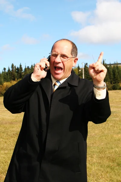 Business Man on Phone — Stock Photo, Image