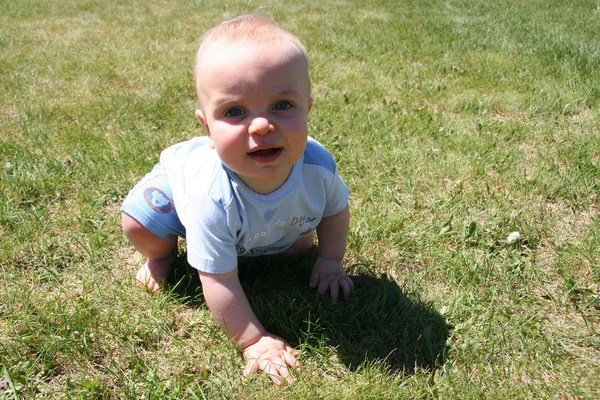 草でクロールの少年 — ストック写真