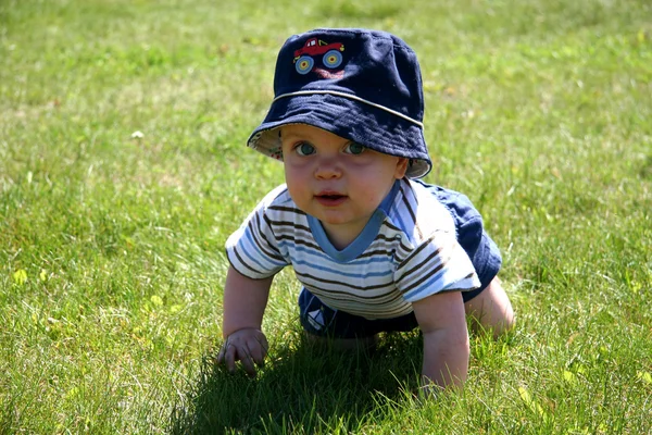 Baby i gräset — Stockfoto