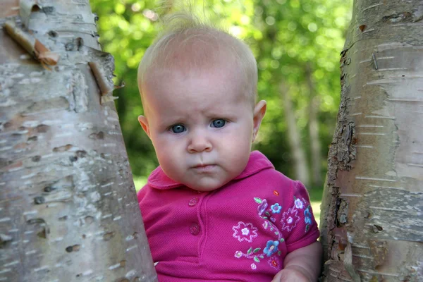 Baby flicka poserar i ett träd — Stockfoto