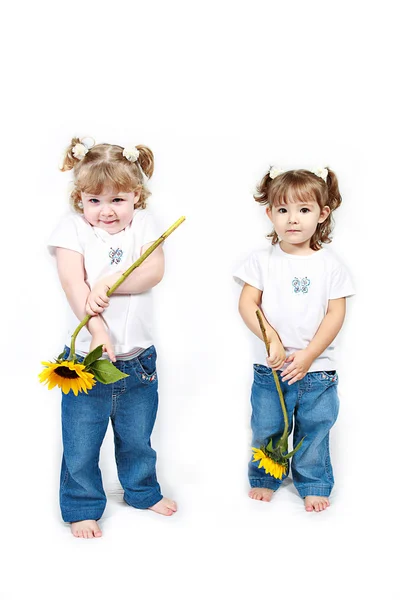 Entzückende kleine Schwestern isoliert auf weißem Hintergrund — Stockfoto